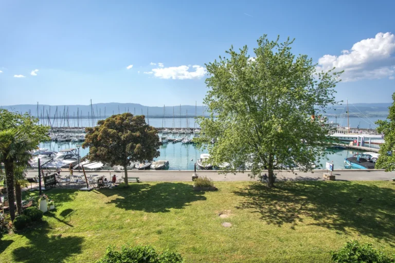 Vue sur le port de plaisance d'Yvoire depuis la suite duplex